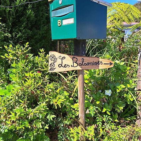 Ferienwohnung Les Balsamines Chez Michele & Daniel La Plaine des Palmistes Exterior foto